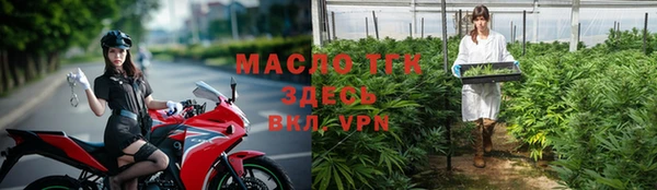 индика Карпинск