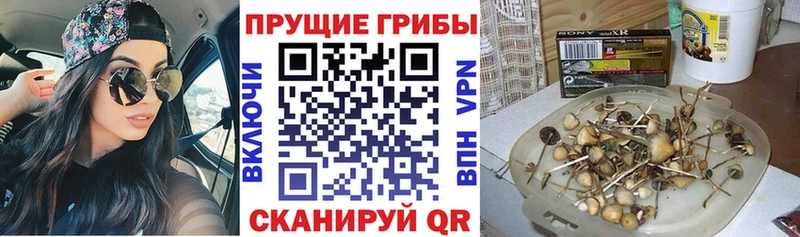 даркнет сайт  Бирюсинск  маркетплейс какой сайт  Псилоцибиновые грибы мухоморы 